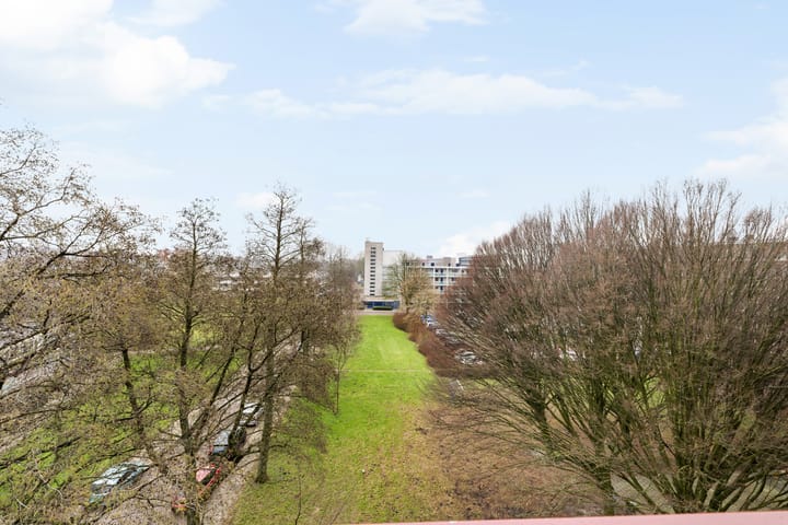 Foto 16 van Gemeenschapspolderweg 501