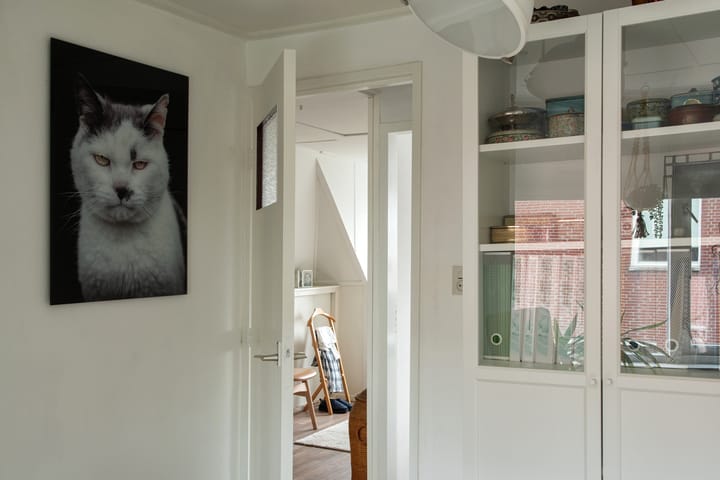 Foto 25 van Weeninkpad 12