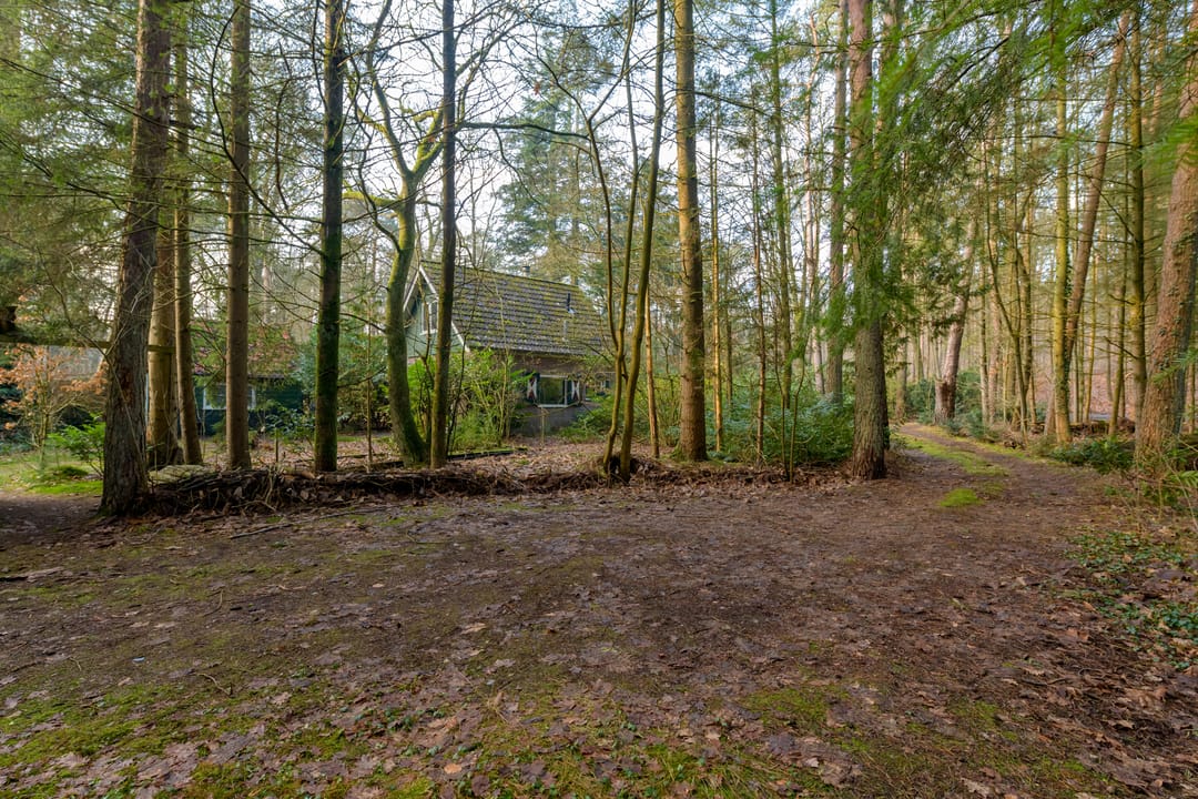 Foto 11 van Kaapbergweg 15