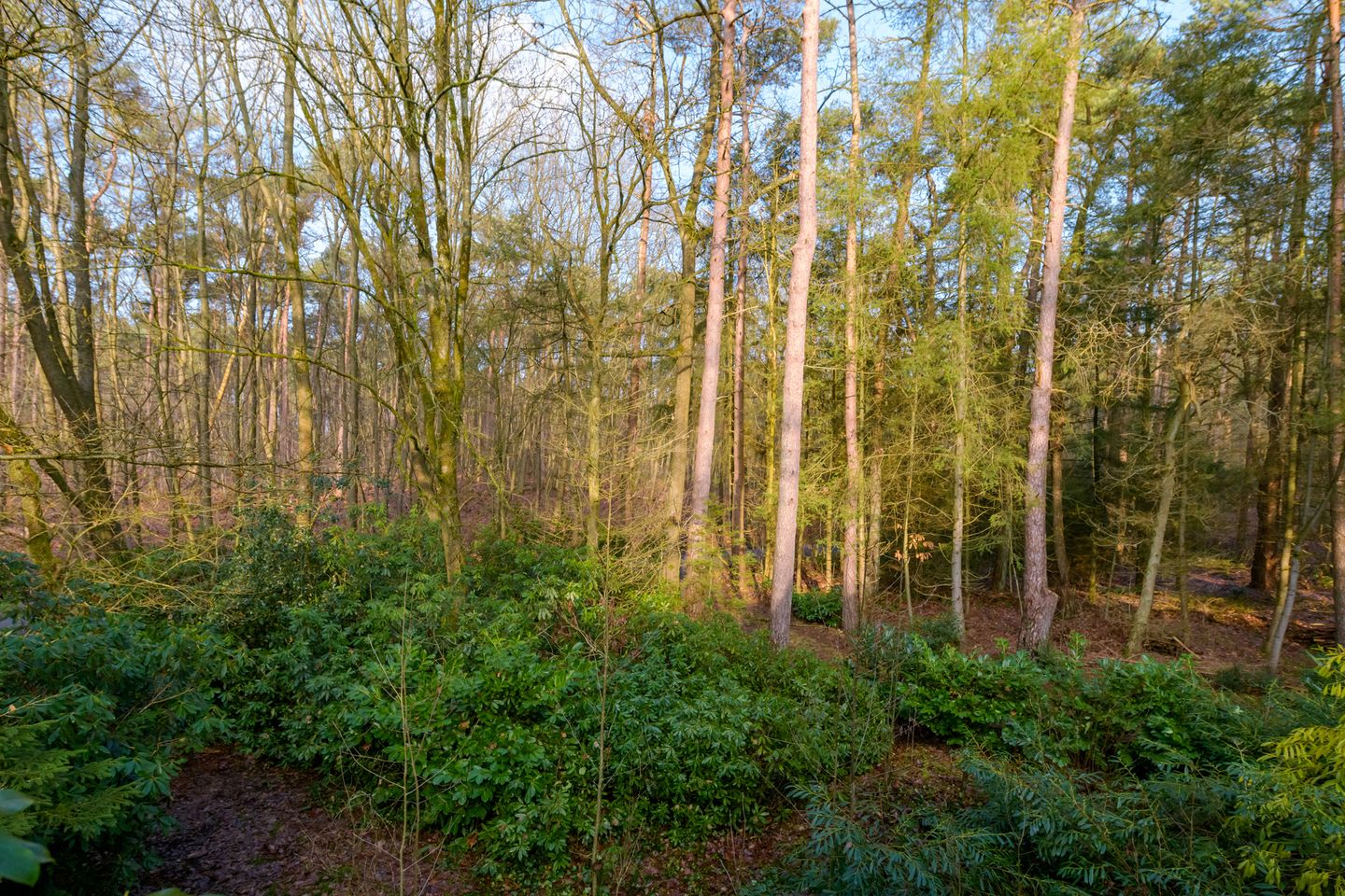 Foto 20 van Kaapbergweg 15