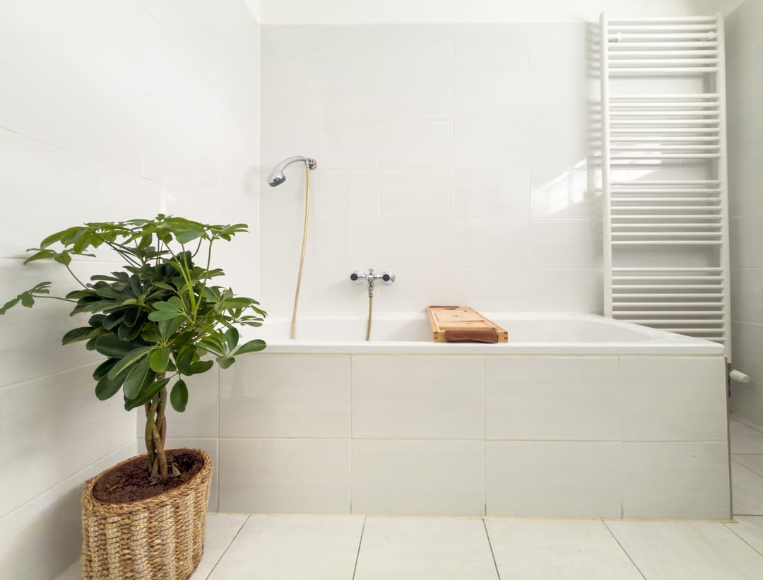 Foto 22 van Diabellistraat 25