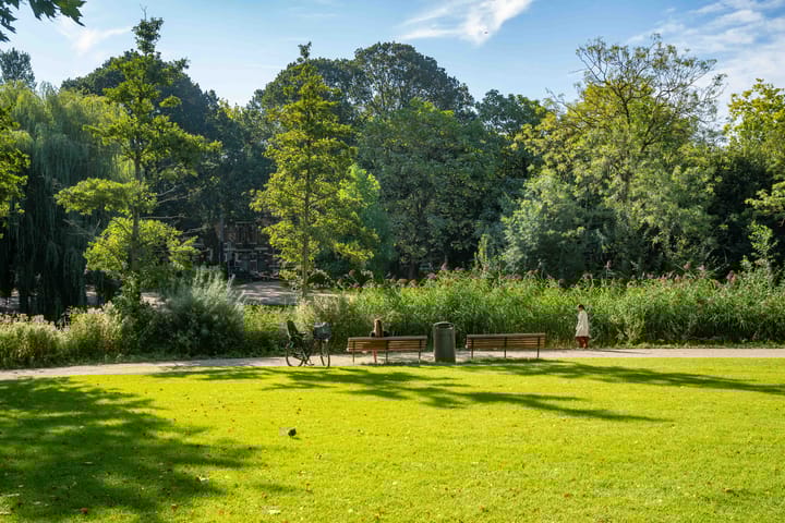 Foto 21 van Van Ostadestraat 436