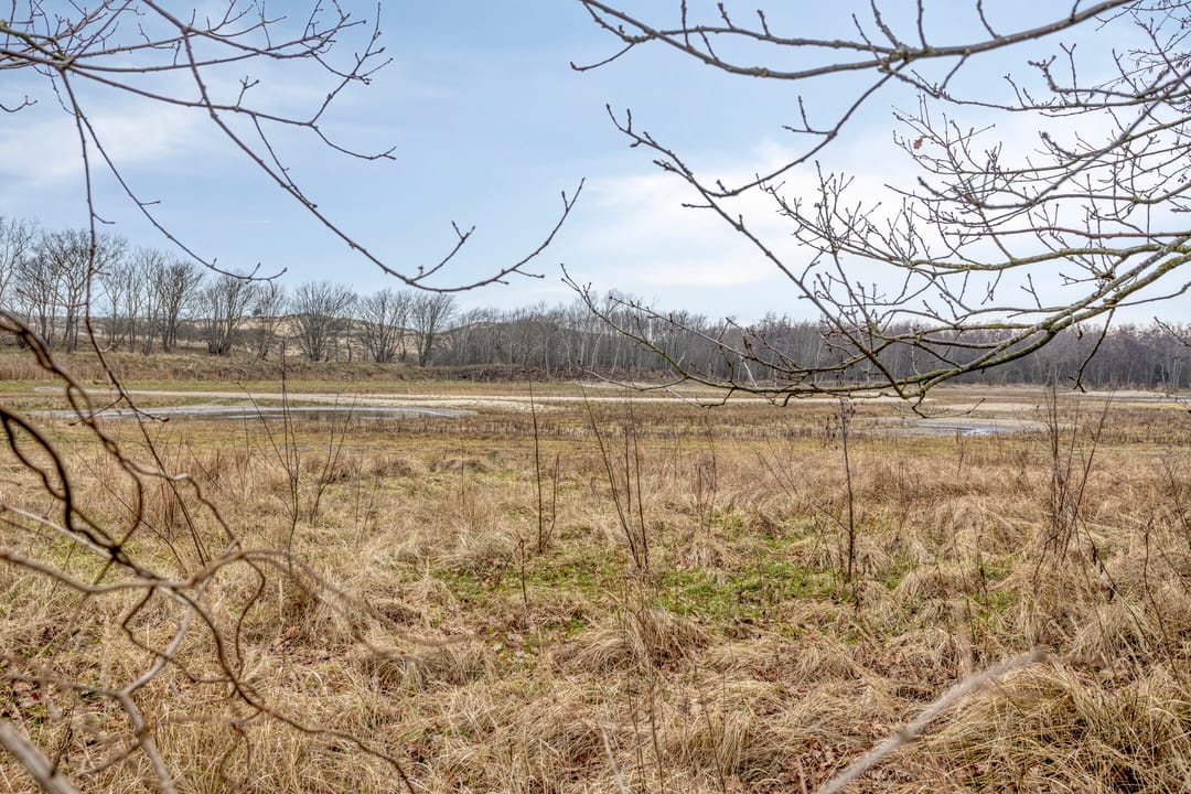 Photo 22 of Kapelleboslaan 121