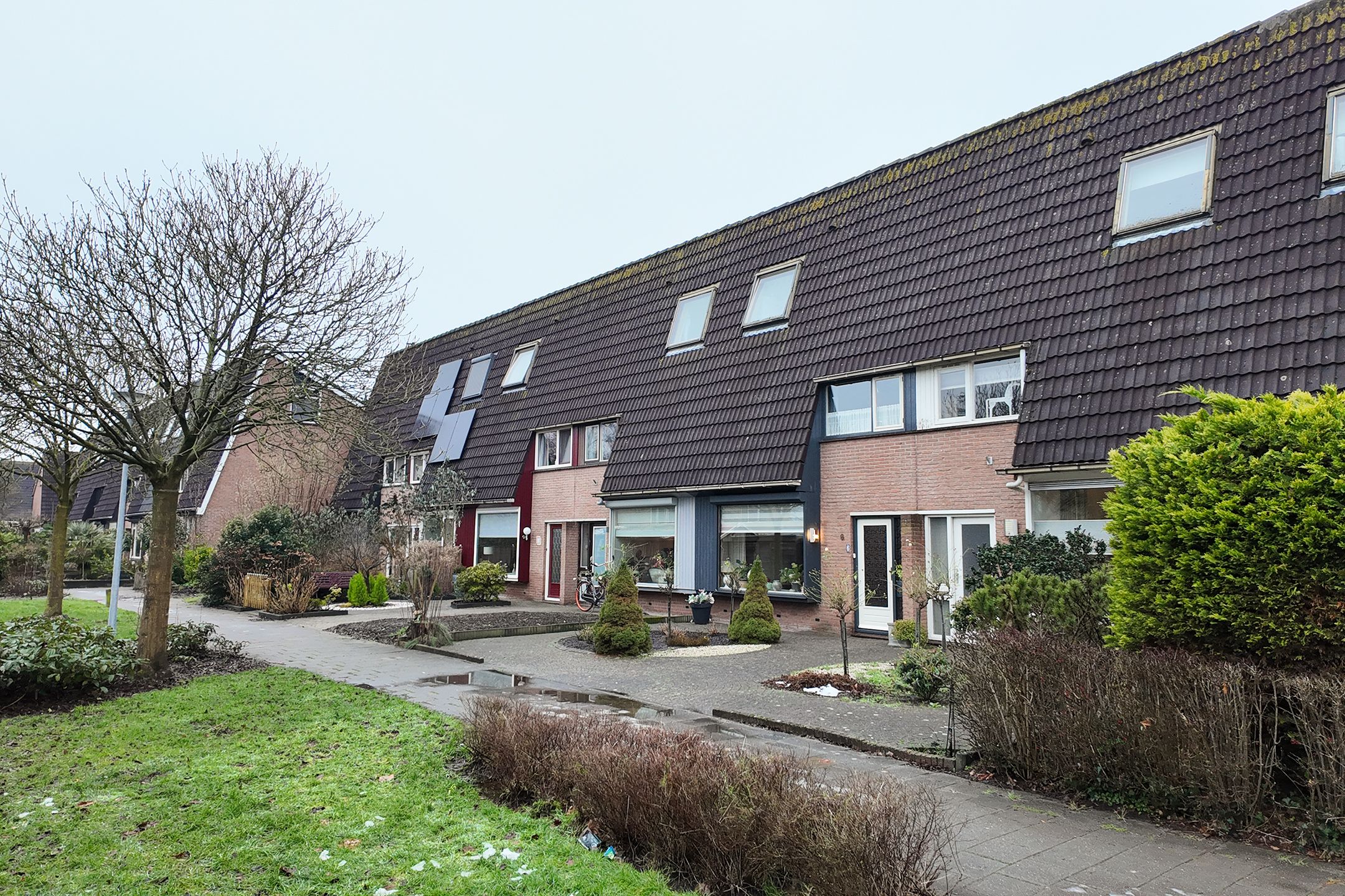 Foto 57 van Slingeland 4