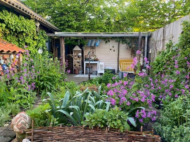 Foto 39 van Zilkerduinweg 132