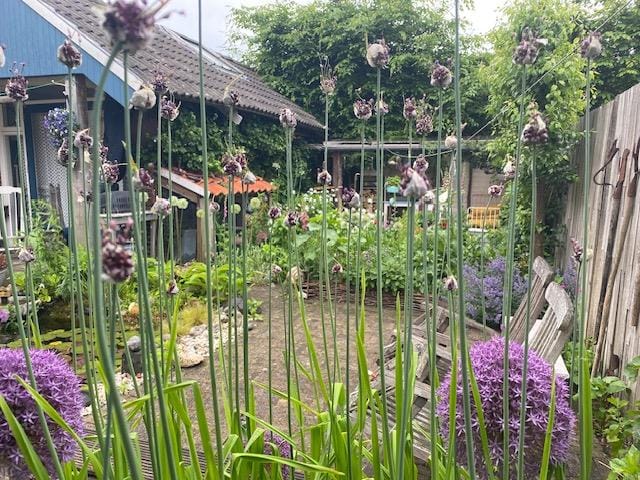 Foto 40 van Zilkerduinweg 132