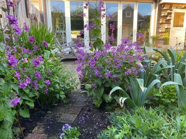 Foto 41 van Zilkerduinweg 132