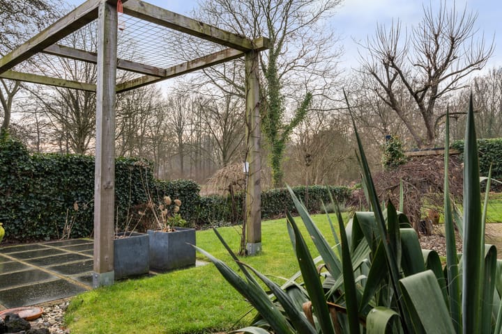 Foto 39 van Kieveen 8