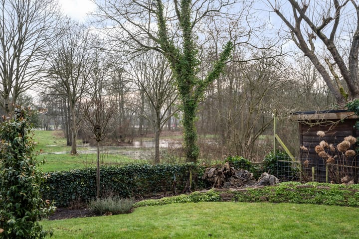 Foto 45 van Kieveen 8