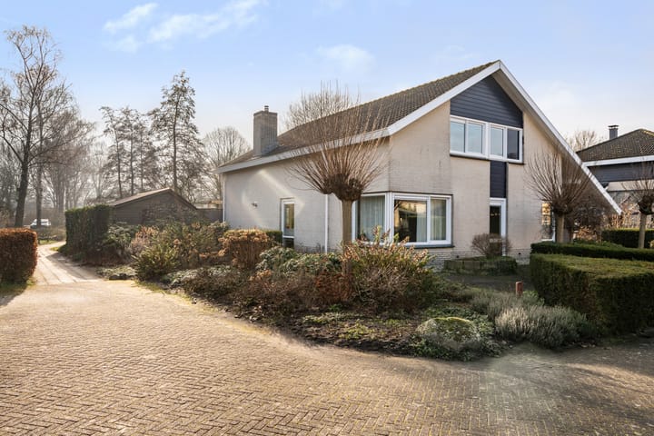 Foto 49 van Kieveen 8