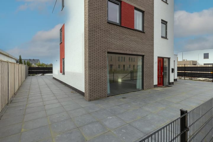 Foto 3 van Koriander 67