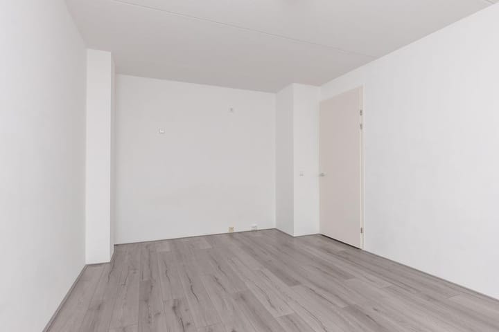 Foto 31 van Koriander 67