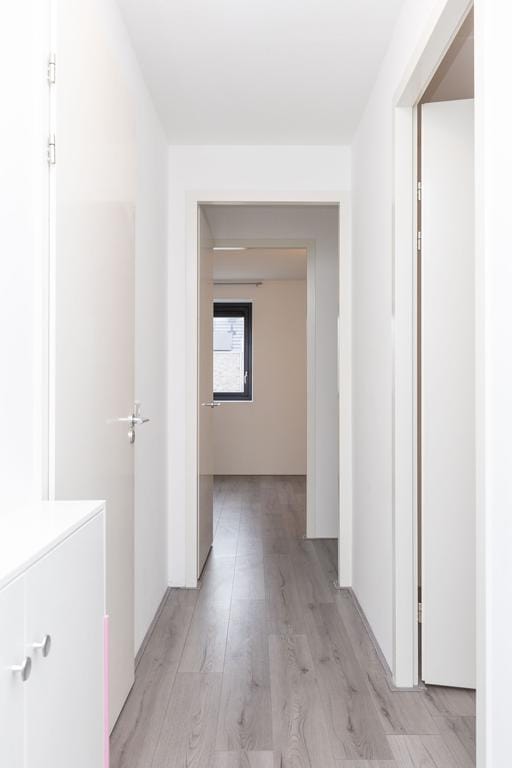 Foto 38 van Koriander 67