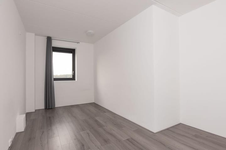 Foto 40 van Koriander 67