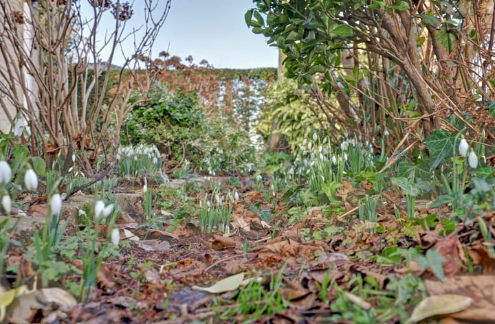 Photo 68 of Notaris L P vd Blinkln 11-A