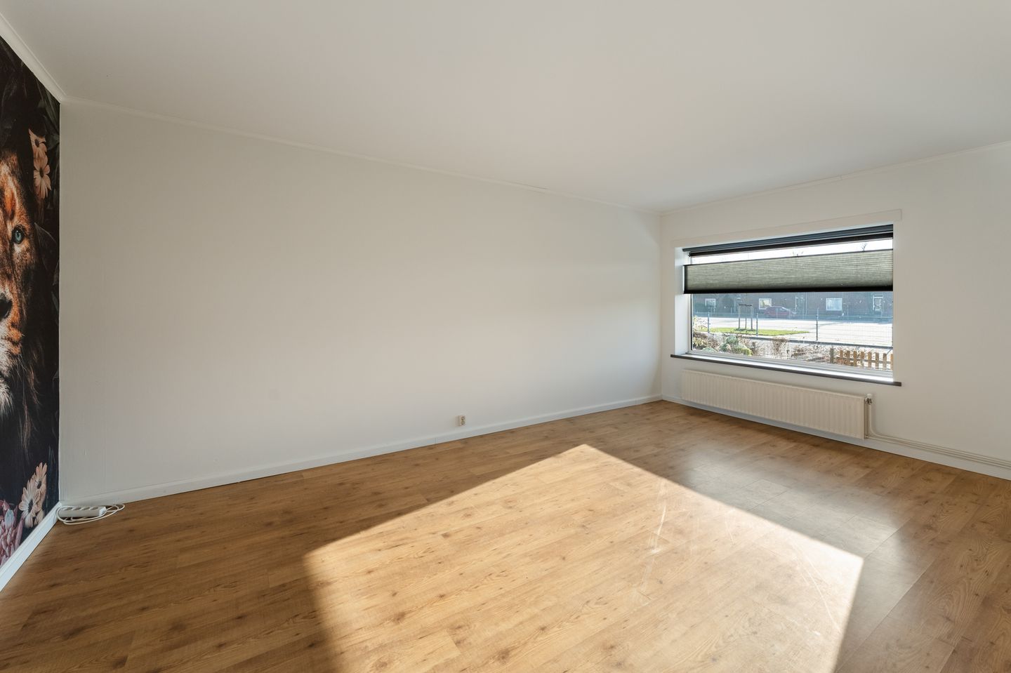 Foto 10 van Leemansstraat 11