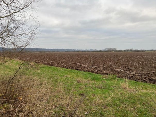 Bekijk foto 2 van Kouwedijk