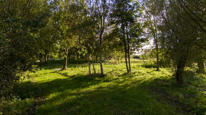 Photo 8 of Mosseldijk 15-A