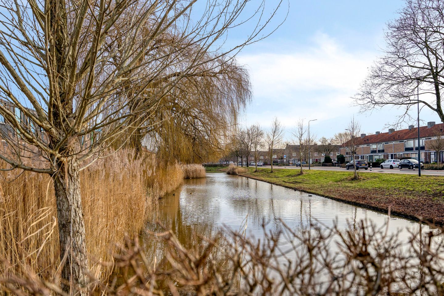 Foto 25 van Jacob Roggeveenstraat 27