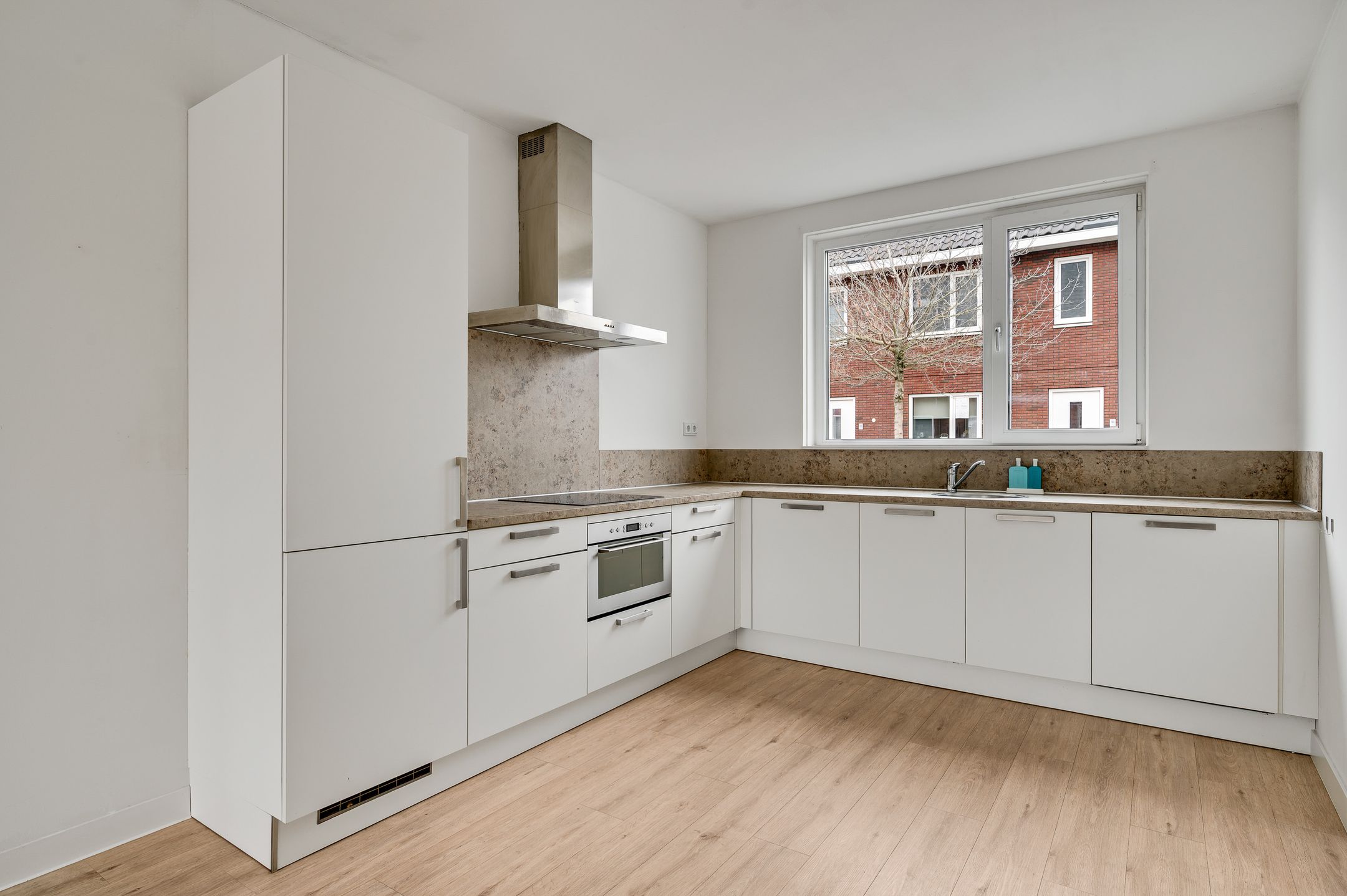 Foto 3 van Lijster 15