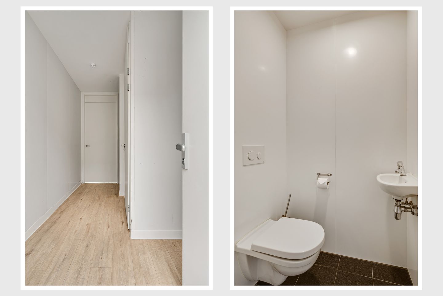 Foto 5 van Lijster 15