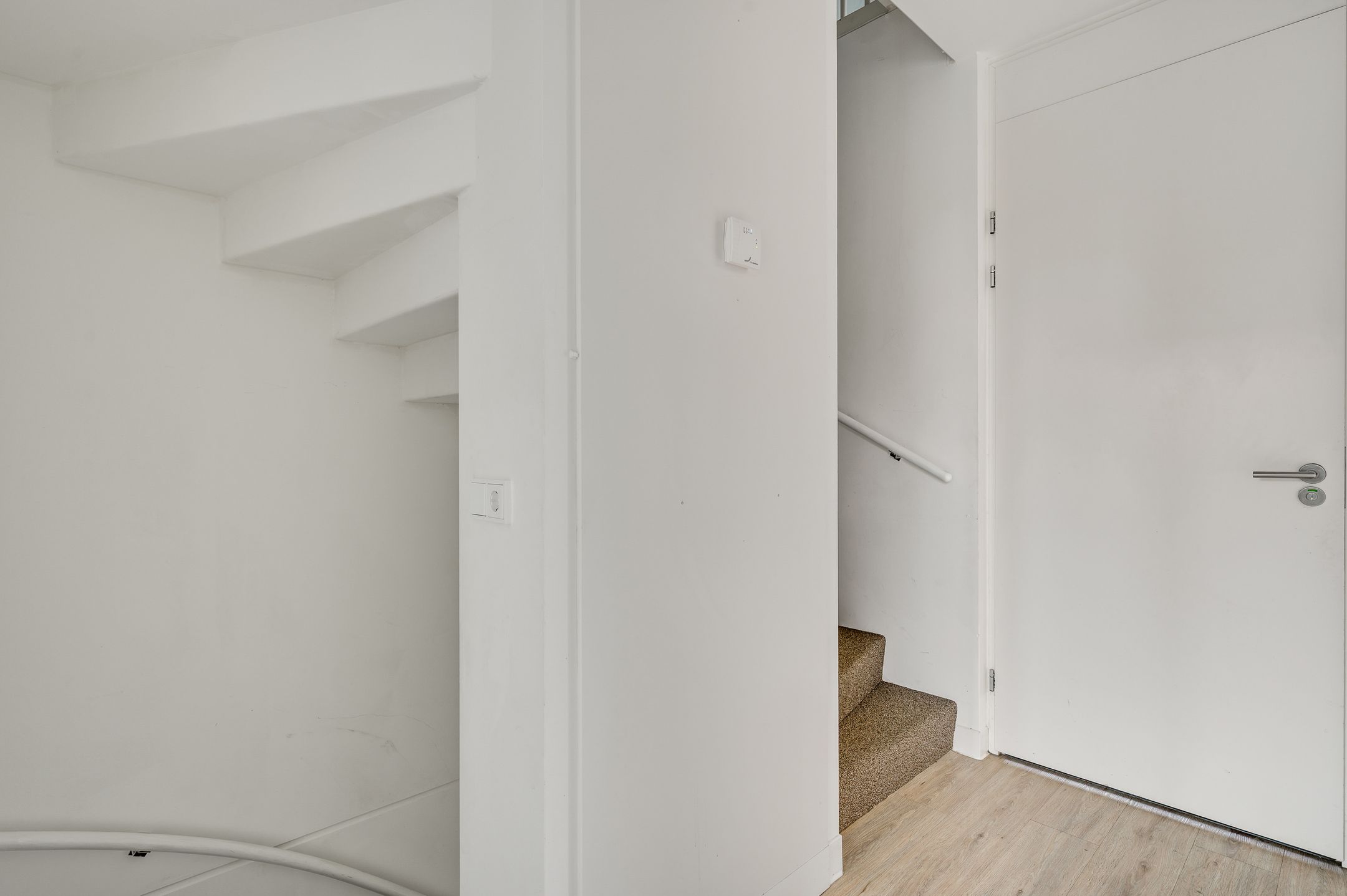 Foto 9 van Lijster 15