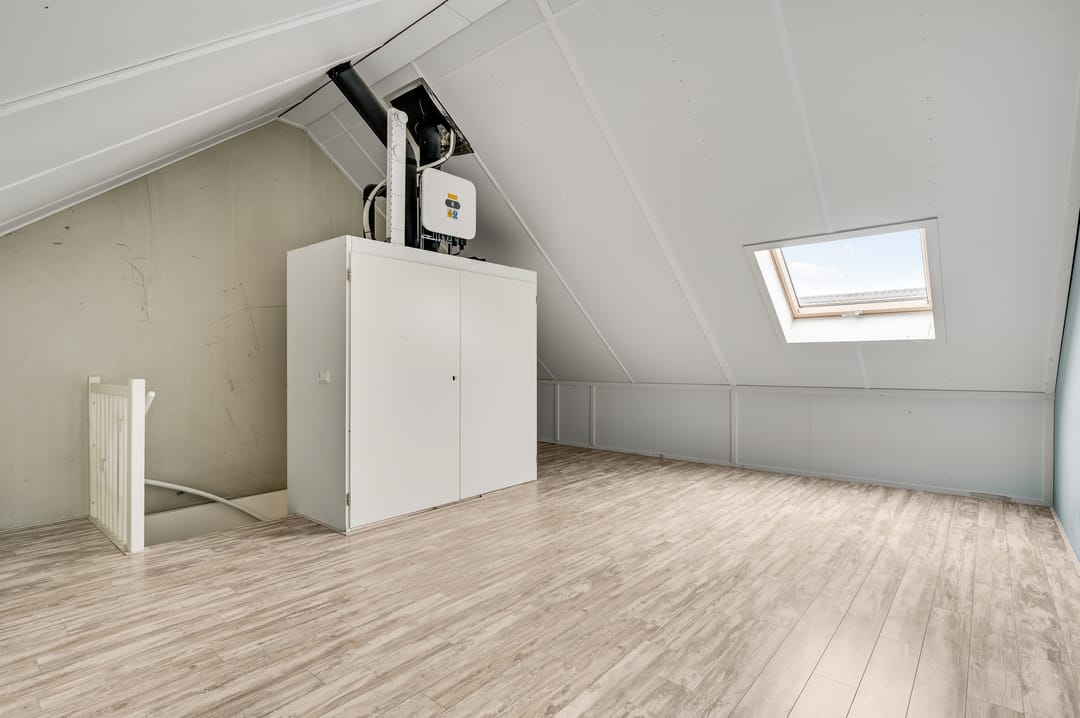 Foto 16 van Lijster 15