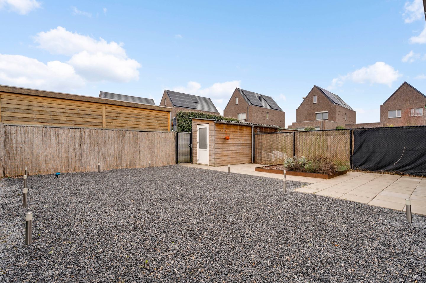 Foto 19 van Lijster 15