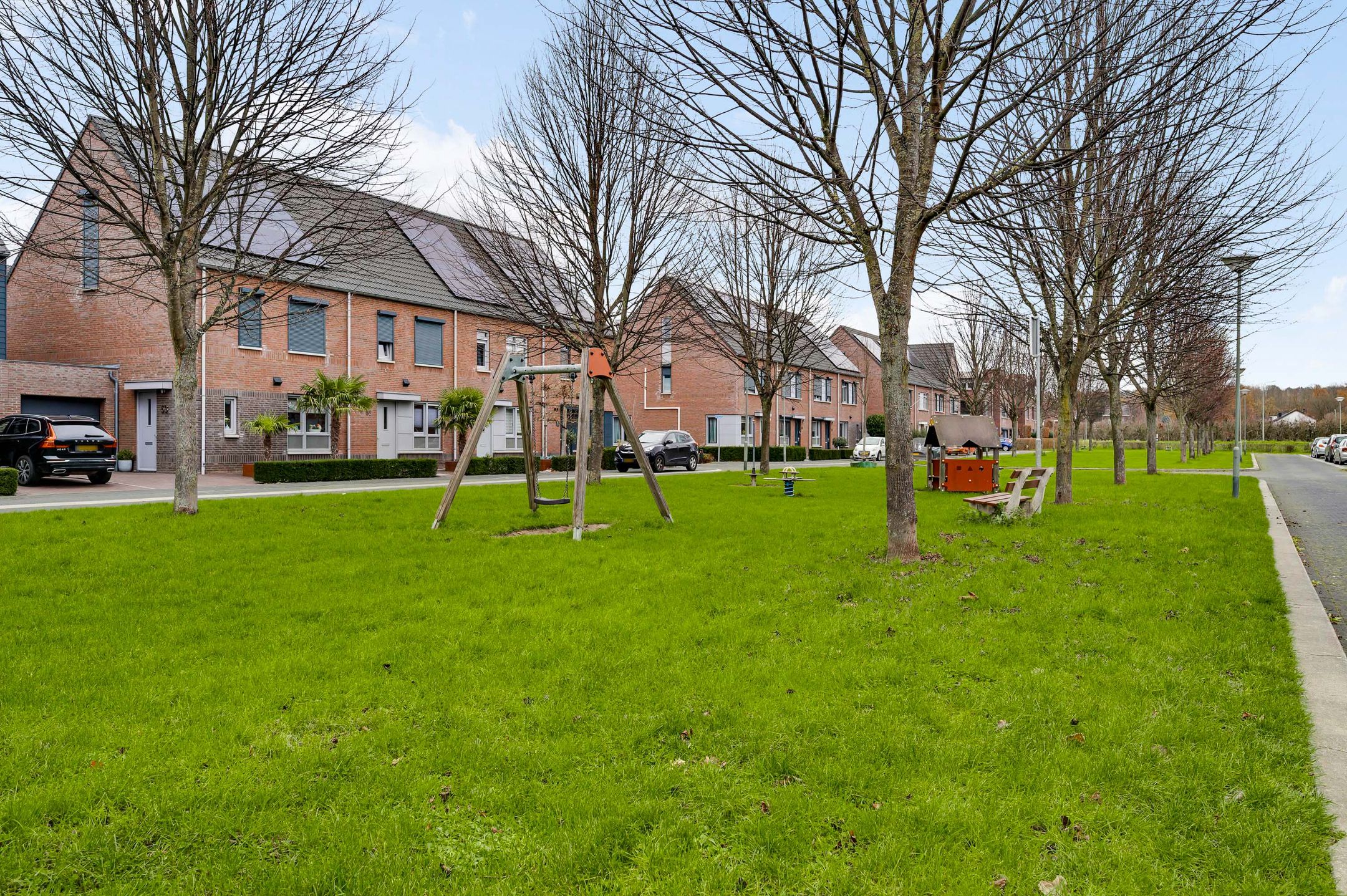 Foto 21 van Lijster 15