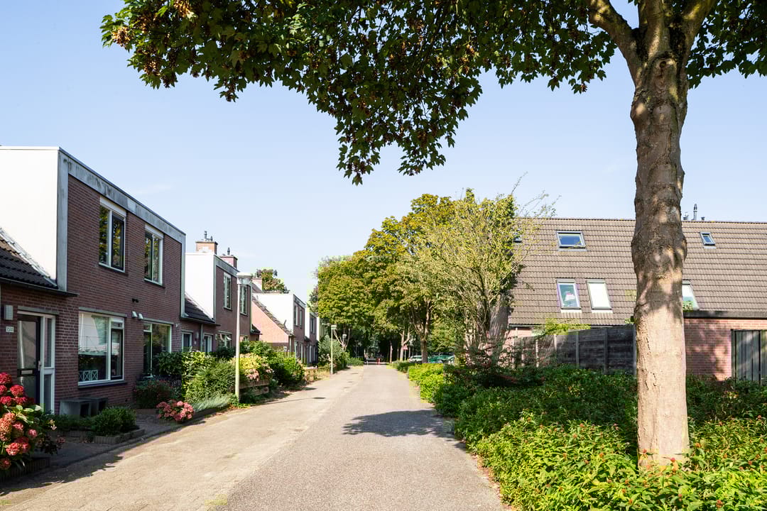 Photo 31 of Crosestein 1505