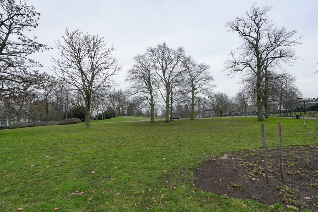 Foto 37 van Kronenburgersingel 45