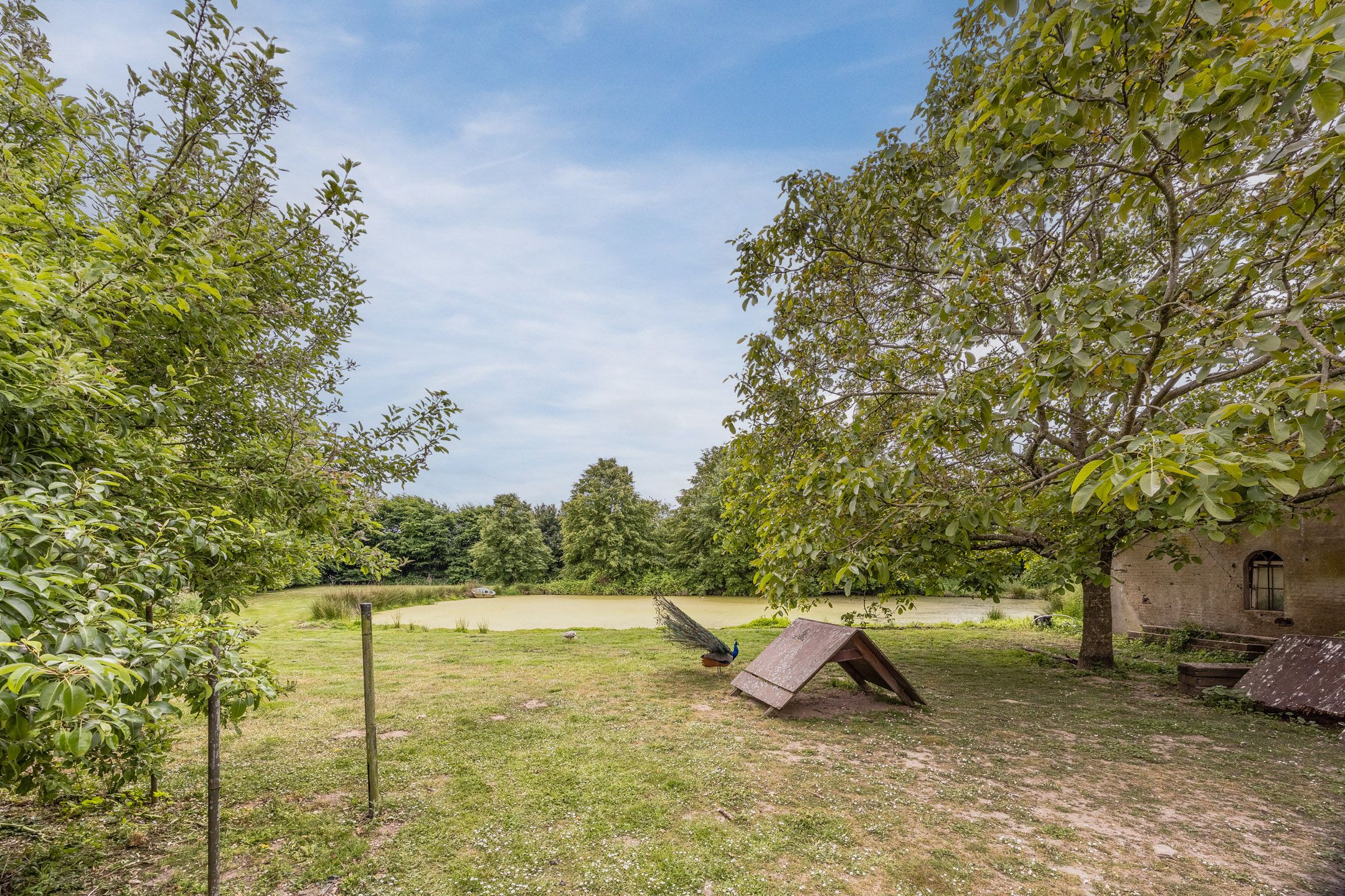 Foto 54 van Kamperweg 5