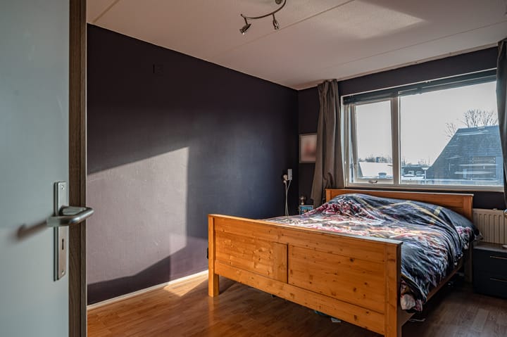 Foto 16 van Costersland 17