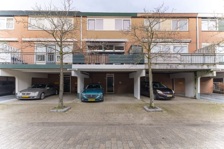 Foto 5 van Poolster 228