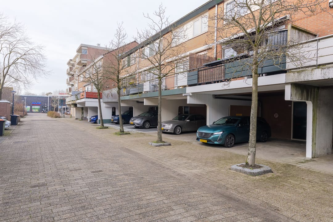 Foto 47 van Poolster 228