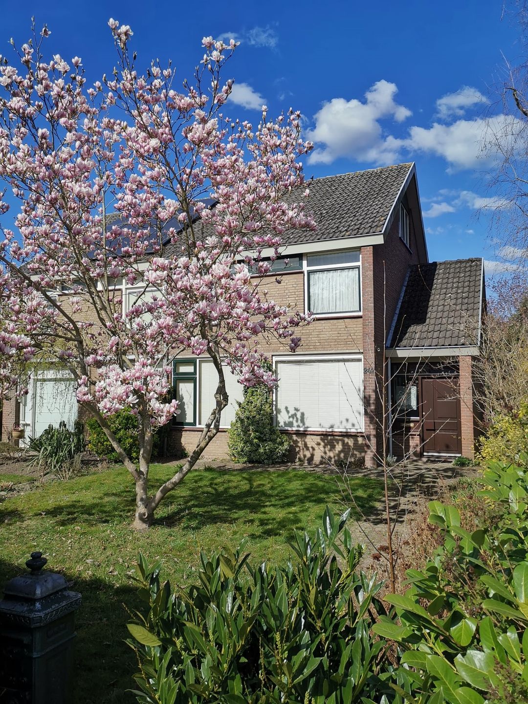 Foto 1 van Hertogshoef 242