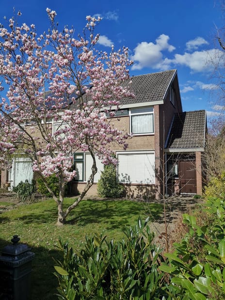 Hertogshoef thumbnail