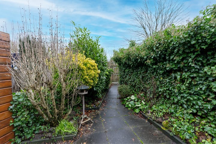 Photo 30 of Barmsijs 35