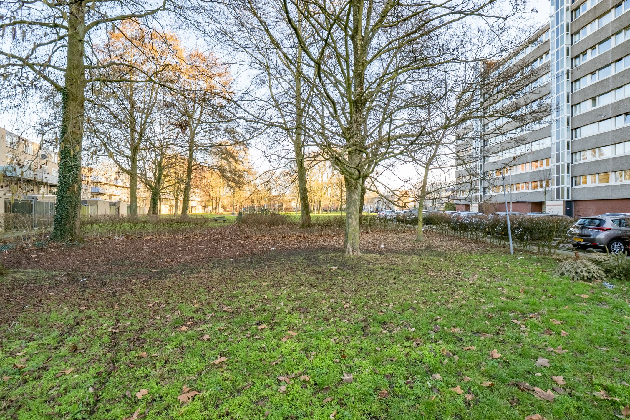 Foto 45 van Androsdreef 96