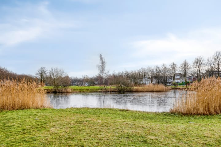 Foto 45 van Dublinstraat 11