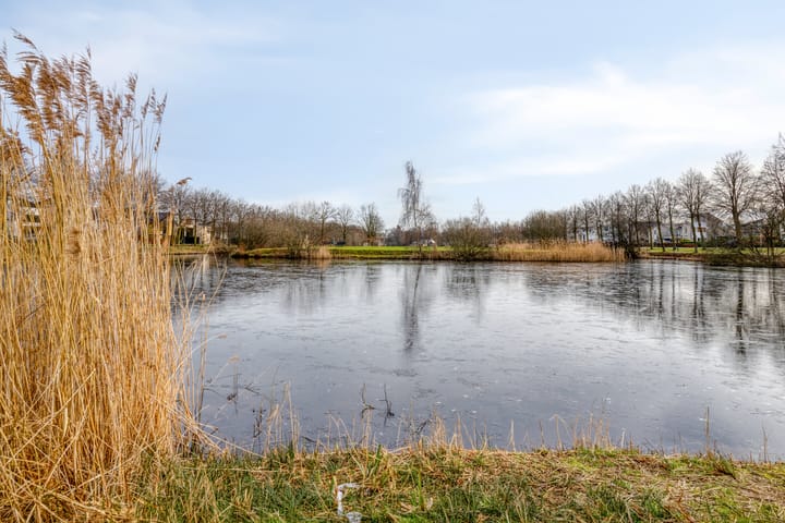 Foto 47 van Dublinstraat 11