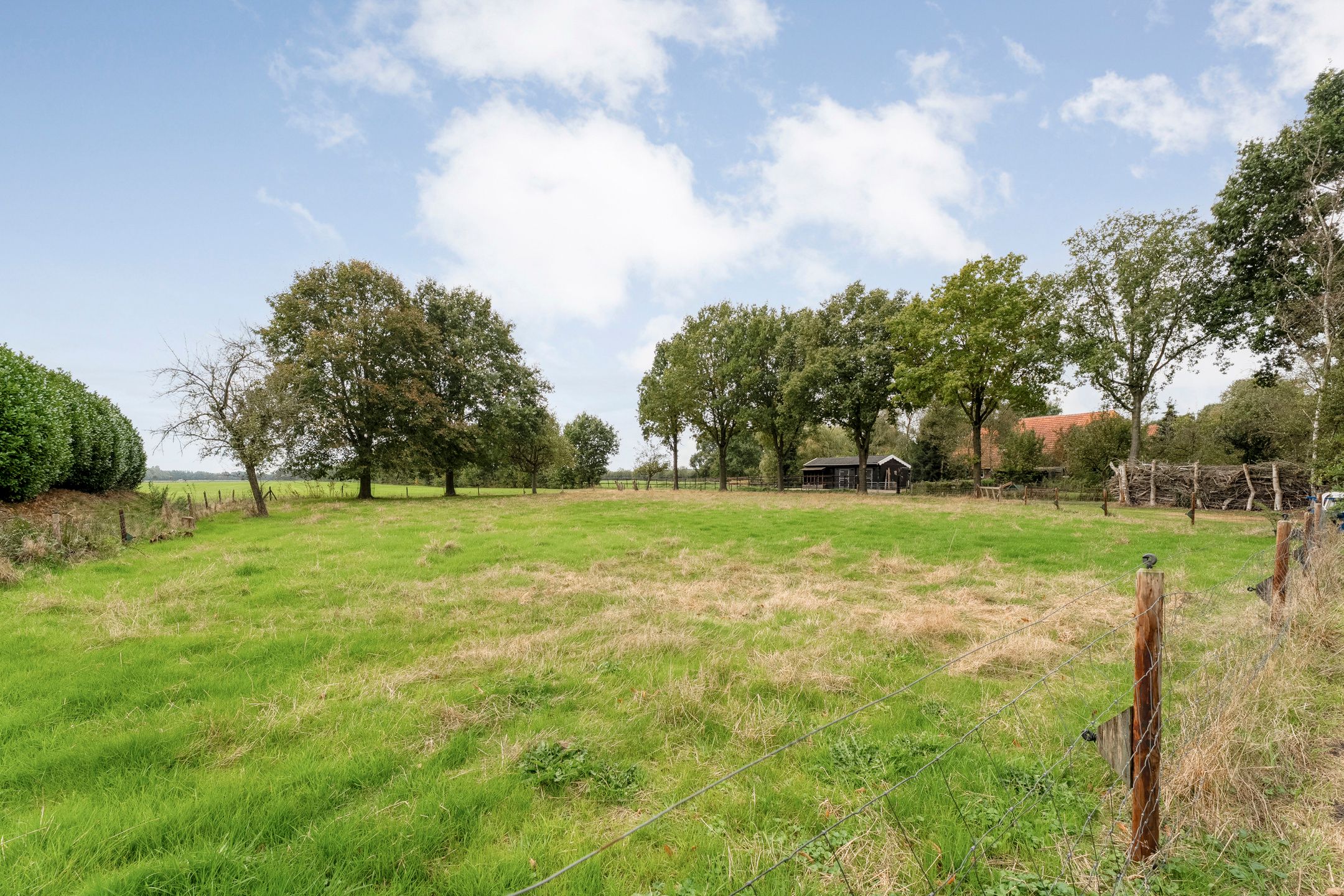 Photo 3 of Midden 116