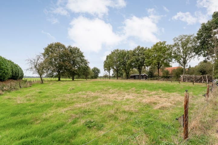 Photo 3 of Midden 116