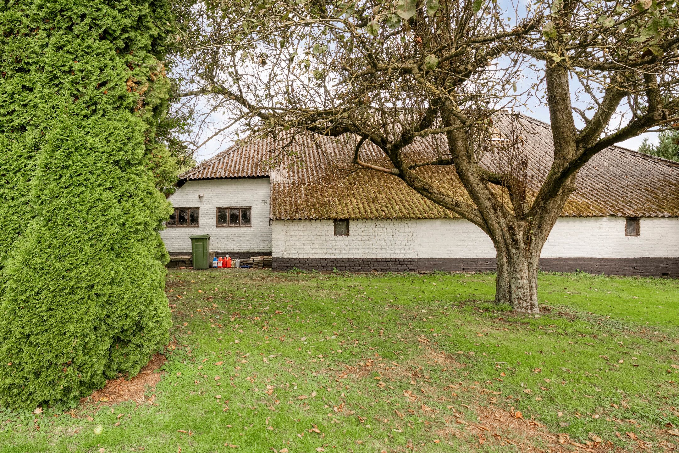 Photo 6 of Midden 116