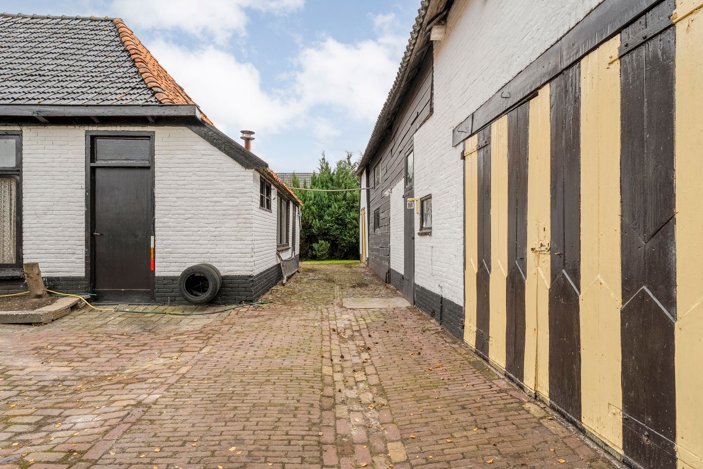 Photo 14 of Midden 116