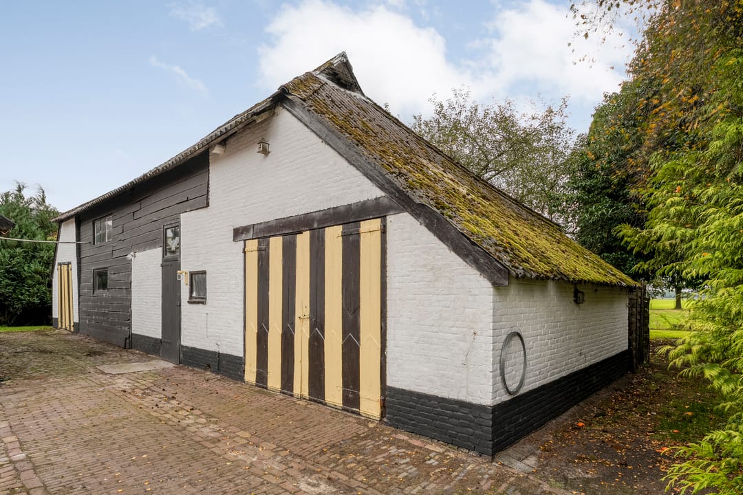 Photo 31 of Midden 116