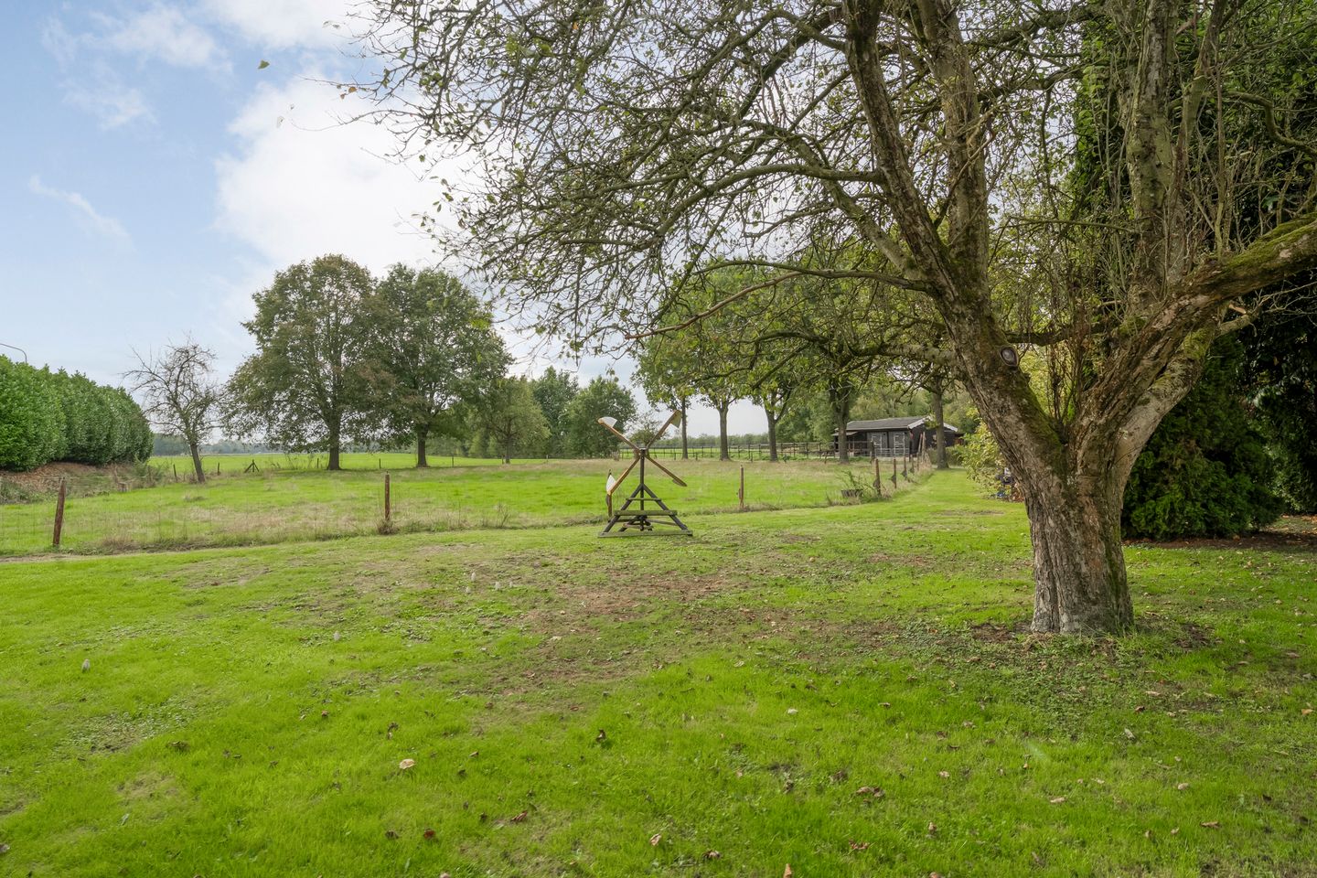 Photo 35 of Midden 116