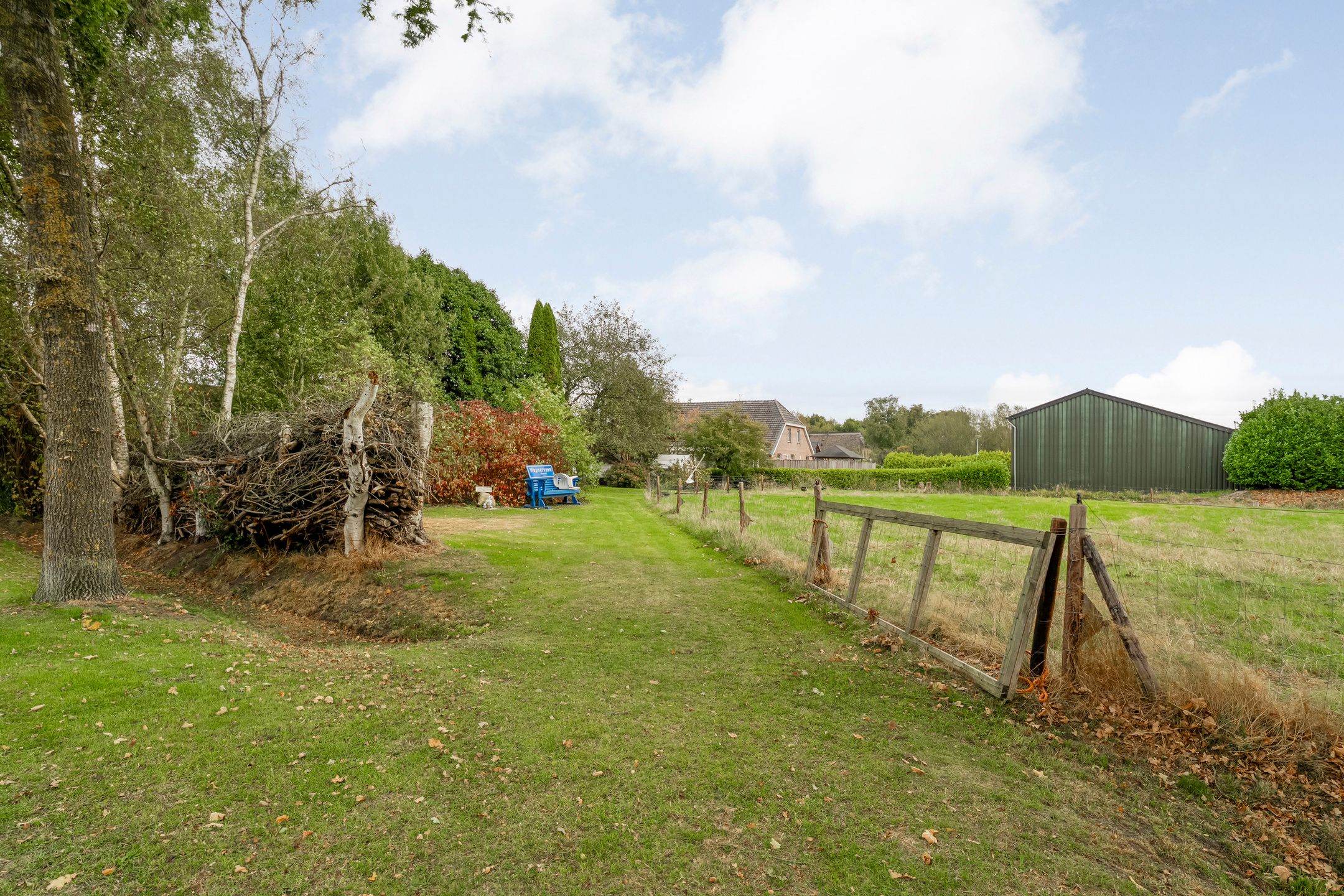 Photo 36 of Midden 116