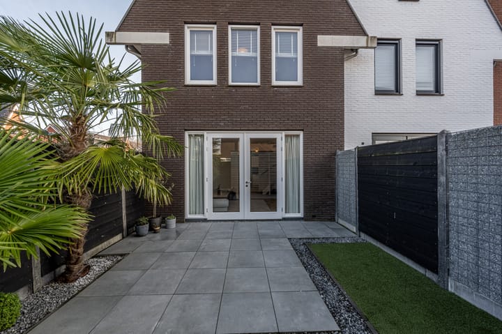 Foto 29 van Schaduwrijk 1