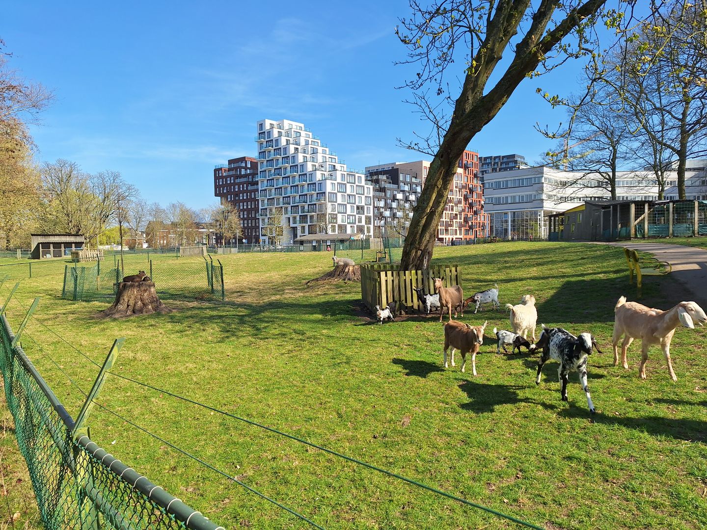 Photo 35 of Bridgemankade 92